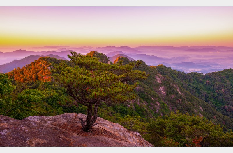 산정의 여명