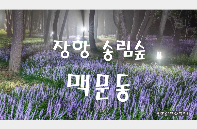 장항맥문동