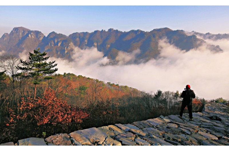 청량산 운해