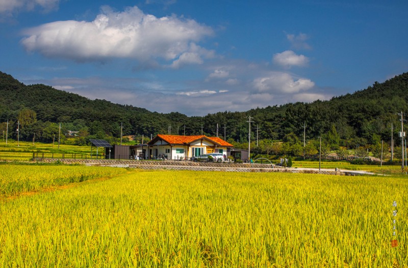 가을풍경