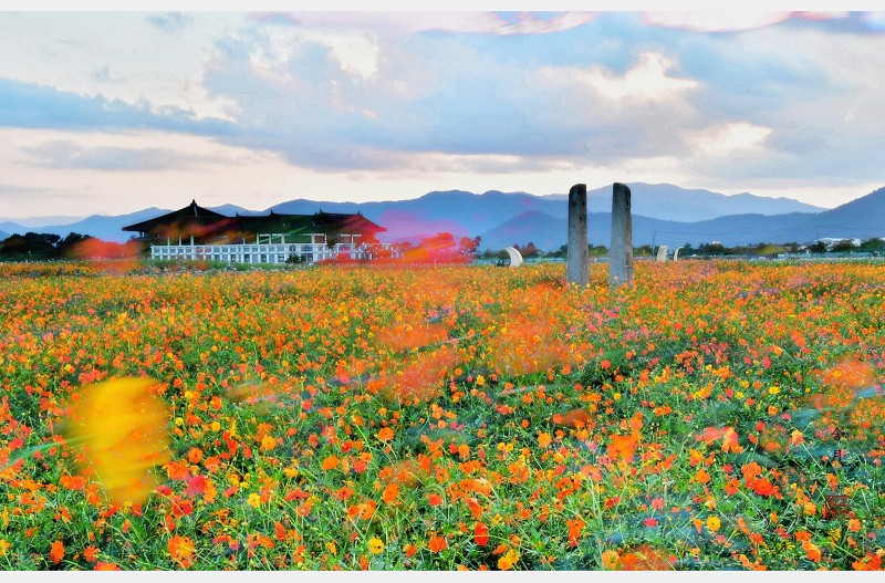 스쳐가는 바람