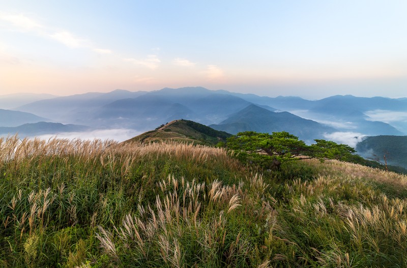 민둥산