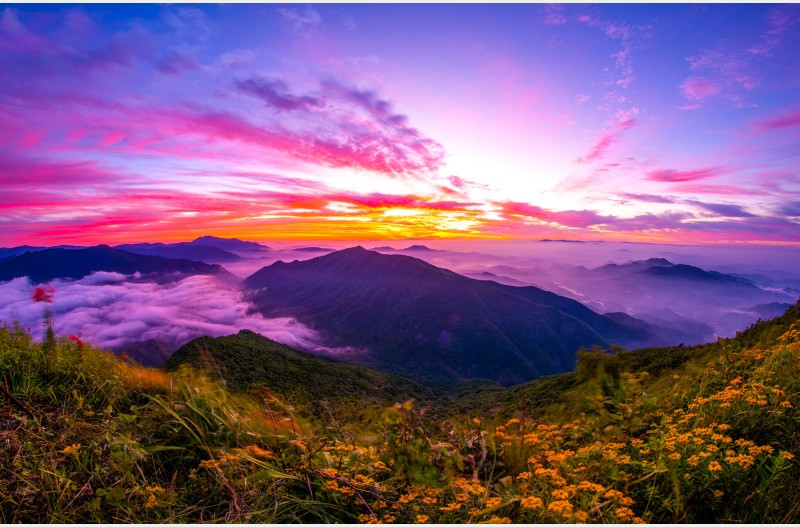 산정의 여명