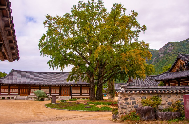 가을 산사
