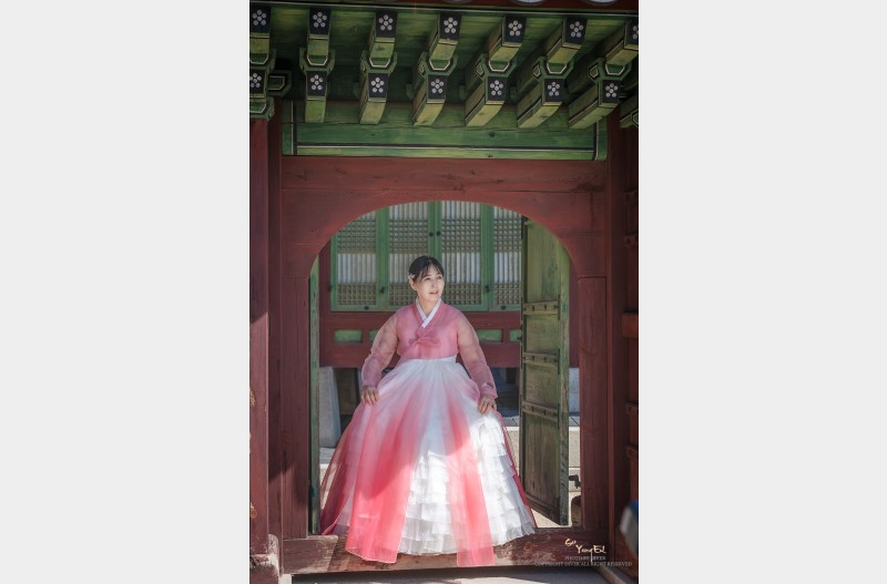 궁궐에 피어난 꽃들