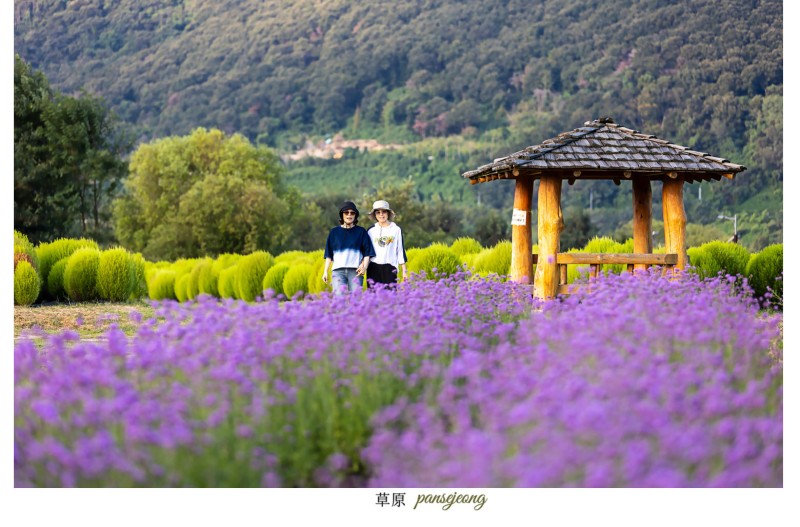 황산공원