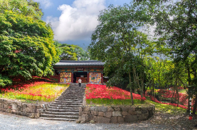 용천사